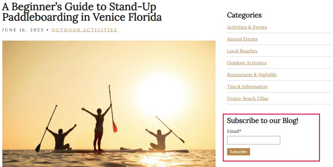 Blog subscription form prompting visitors to enter their email address to receive updates, demonstrating automated email list growth.